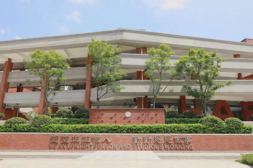 四川天府新區(qū)2021年小學信息一覽